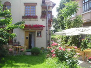 Ceainaria Green Tea - Gradina Noastra