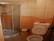 Pensiunea DanaCris Ilfov