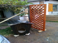 Tamplaria lemn Soimul Bucuresti