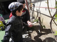 Gradinita Micul Print Bucuresti