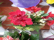 Floraria Nely Bucuresti