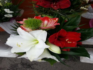 Floraria Nely Bucuresti