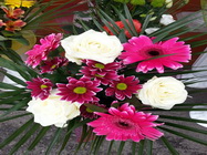 Floraria Nely Bucuresti