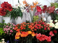 Floraria Nely Bucuresti