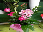 Floraria Nely Bucuresti