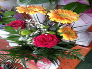 Floraria Nely Bucuresti