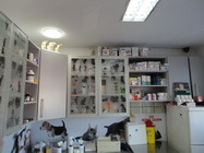 Cabinet veterinar Carmen Vet