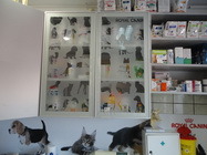 Cabinet veterinar Carmen Vet Bucuresti