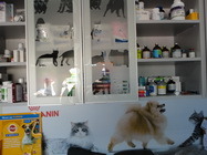 Cabinet veterinar Carmen Vet