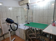 Cabinet veterinar Carmen Vet