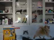 Cabinet veterinar Carmen Vet