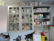 Cabinet veterinar Carmen Vet