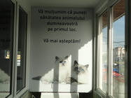 Cabinet veterinar Carmen Vet