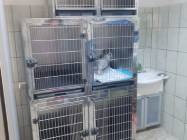 Cabinet veterinar Carmen Vet