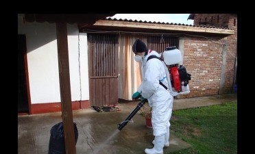 Combaterea sobolanilor