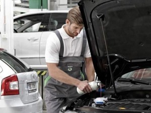 Service Skoda