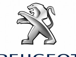 Piese auto Peugeot