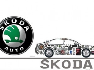 Piese auto Skoda