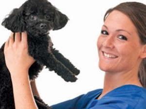 Cardiologie veterinara