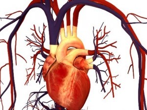 Boli de inima - cardiovasculare